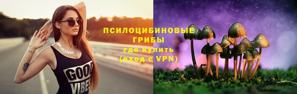соль ск Армянск